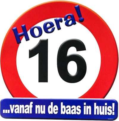 16 jaar verjaardag stopbord - Dia 50 cm - Leeftijd feestartikelen - verkeersbord - Karton - Huldebord - Deurbord