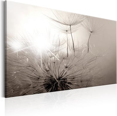 Schilderijen Op Canvas - Schilderij - Beautiful Summer: Dandelions 90x60 - Artgeist Schilderij