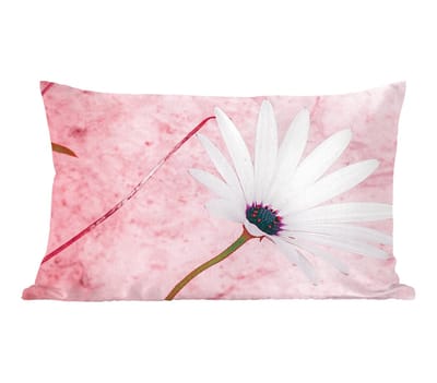 Sierkussens - Kussentjes Woonkamer - 60x40 cm - Bloemen - Roze - Vintage