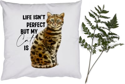 Sierkussens - Kussentjes Woonkamer - 50x50 cm - Life isn't perfect but my cat is - Quotes - Spreuken - Katten