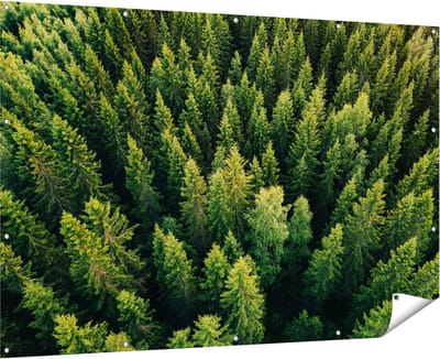 Gards Tuinposter Bos met Bomen vanaf Boven - 180x120 cm - Tuindoek - Tuindecoratie - Wanddecoratie buiten - Tuinschilderij