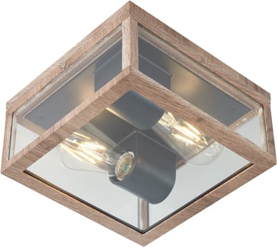QAZQA charlois - Industriele Plafondlamp voor buiten - 2 lichts - L 24 cm - Naturel - Industrieel - Buitenverlichting