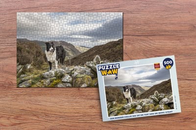 Puzzel Een border collie die op de top van de berg staat - Legpuzzel - Puzzel 500 stukjes