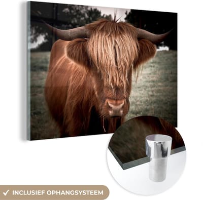 MuchoWow® Glasschilderij 150x100 cm - Schilderij acrylglas - Schotse Hooglander - Boom - Gras - Foto op glas - Schilderijen