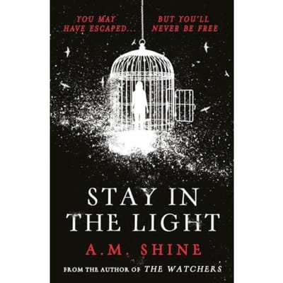 Stay In The Light - A.M. Shine