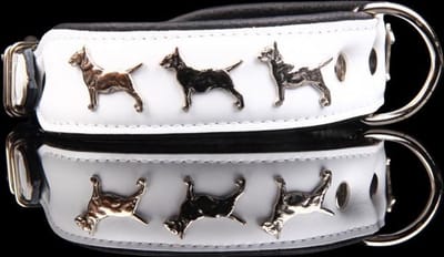 Dog's Companion Leren Halsband - Bull Terriër - Lengte: 45 cm Verstelbaar van: 32-41 cm x 40 mm - Wit/Zwart