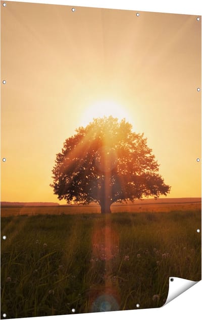 Gards Tuinposter Zonsondergang Achter een Grote Boom - 120x160 cm - Tuindoek - Tuindecoratie - Wanddecoratie buiten - Tuinschilderij