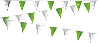 Vlaggenlijn Lichtgroen Wit - 20 meter | Zware kwaliteit stof