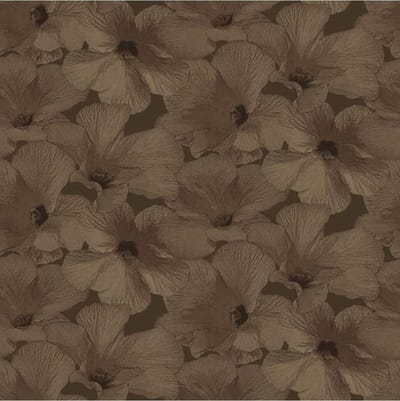 Annuell Hibiscus koper 11006