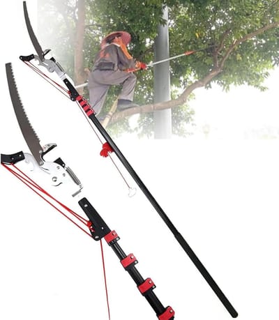 Takken snoeien, telescopische lange steel snoeizaag boomschaar voor het snoeien van hoge takken, bladeren, struiken, tuinieren | Professioneel nauwkeurig snoeien | Tuingereedschap (3,6 m (12 ft))