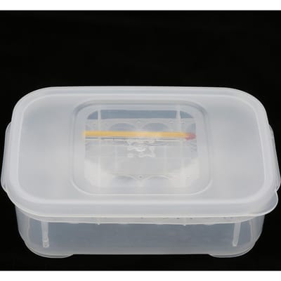 12 vakken Slangen Gecko Hagedissen Reptielen Eieren Incubatorbak Broedbak met Thermometer white