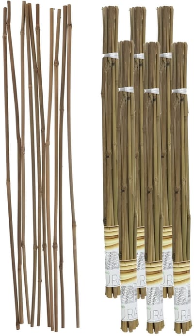 Gerimport Plantenstokken - 60x stuks - bamboe - 60 cm - plantensteun / tonkinstokken
