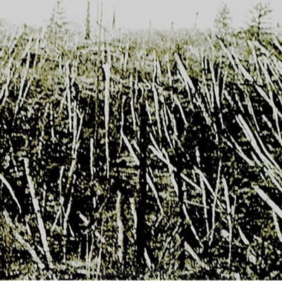 Próchno - Próchno (CD)