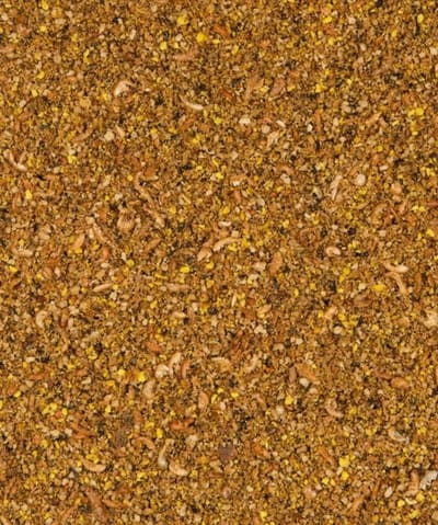 Orlux Gold patee inlands vogel 5 kilo - Vogelvoer - Eivoer voor vogels - Patee - Nutribird