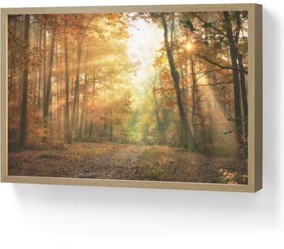 Wandlamp 60x40 cm - Oplaadbaar - Bos - Herfst - Zon - Landschap - Natuur - Bomen - Bladeren - Wandlampen binnen woonkamer - Slaapkamer lamp - Decoratieve nachtlamp - Vloerlamp draadloos