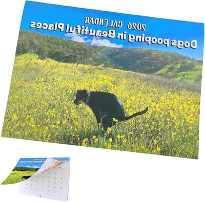 Honden Kalender - Nieuwjaarskalender Humor - Maandplanning Organiseren - Grappige Hondenfoto's - 25 x 19 cm - Multicolor