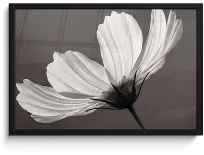 Poster in lijst - Fotolijst 60x40 cm - Posters - Bloem - Minimalistisch - Zwart - Wit - Posterlijst zwart - Decoratie - Wanddecoratie woonkamer - Muurdecoratie slaapkamer