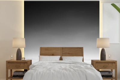 Behang - Fotobehang Olifant - Dieren - Landschap - Zwart wit - zebra - Breedte 240 cm x hoogte 240 cm