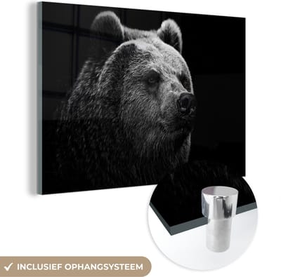 MuchoWow® Glasschilderij 120x80 cm - Schilderij acrylglas - Beer - Licht - Zwart - Foto op glas - Schilderijen