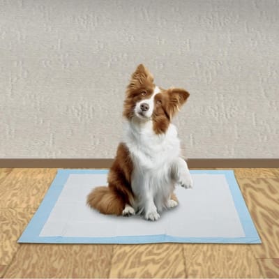 Indoor Plasmat - training pads puppy's, puppy trainen, zindelijkheid, zindelijkheidstraining, honden toilet, dieren toilet