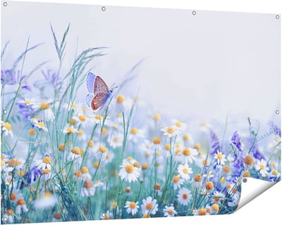 Gards Tuinposter Witte Kamille Bloemen met een Vlinder - 150x100 cm - Tuindoek - Tuindecoratie - Wanddecoratie buiten - Tuinschilderij
