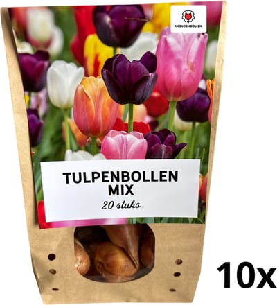 200 stuks Tulpenmix – 20 Bloembollen in 10 Zakjes – Kleurrijke Voorjaarsbloei