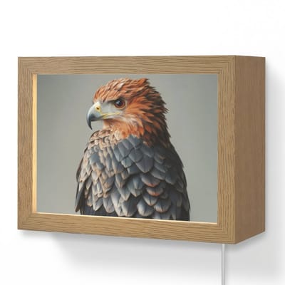 Wandlamp 20x15 cm - Oplaadbaar - Vogel - Realistisch - Veren - Bruin - Wandlampen binnen woonkamer - Slaapkamer lamp met kabel - Decoratieve nachtlamp - Vloerlamp snoer
