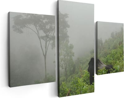 Artaza Canvas Schilderij Drieluik Gorilla in het Woud tijdens de Mist - 90x60 - Foto Op Canvas - Canvas Print