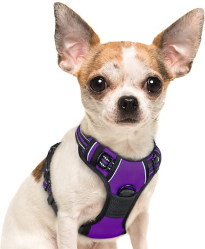 JAXY Hondenharnas - Hondentuig - Hondentuigje Kleine Hond - Y Tuig Hond - Harnas Hond - Anti Trek Tuig Hond - Reflecterend - Maat XS - Paars