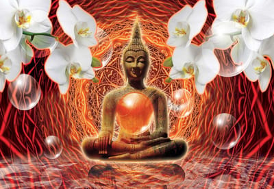 Fotobehang Buddha Zen Flowers Orchids 3D Bubbles | XL - 208cm x 146cm | 130g/m2 Vlies