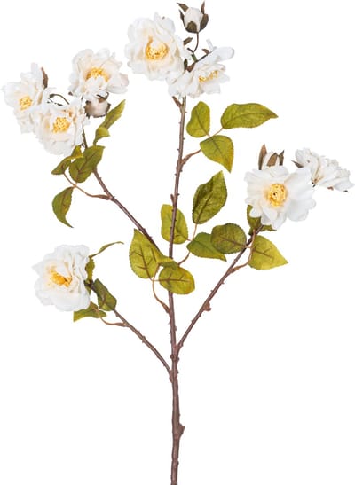 Easyplants | Kunsttak roos 72 cm wit | Zijde | Nepbloemen | wit | Onderhoudsvrij | Kant-en-klaar