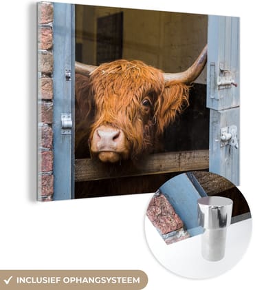 MuchoWow® Glasschilderij 160x120 cm - Schilderij acrylglas - Schotse Hooglander - Boerderij - Schuur - Foto op glas - Schilderijen