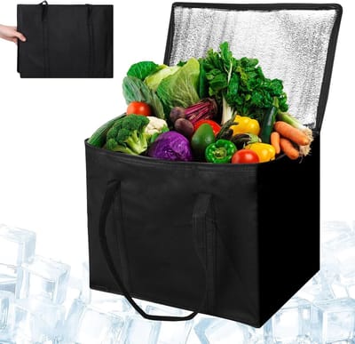 Grote Koeltas 30L - Vouwbare Thermische Tas voor Voedsel en Drank - Ideaal voor Outdoor, Camping en BBQ - Set van 2