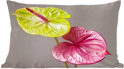 Sierkussens - Kussentjes Woonkamer - 60x40 cm - Planten - Anthurium - Groen - Roze