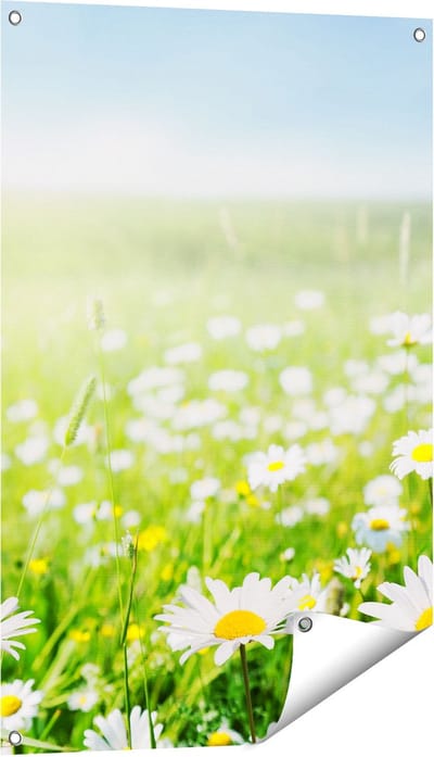 Gards Tuinposter Bloemenveld van Madeliefjes - Bloemen - 60x90 cm - Tuindoek - Tuindecoratie - Wanddecoratie buiten - Tuinschilderij