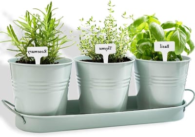Herb Plantenbak Set met Tray voor Binnen - Metalen Vensterbank Planten Pot met Afvoer voor Buiten Tuinieren - Groen