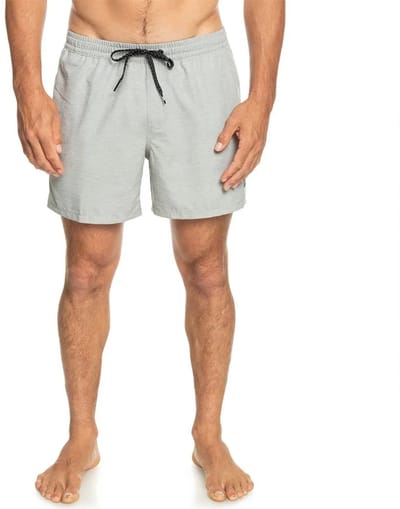 Quiksilver Everyday Deluxe Volley 15 Zwembroek Groen XS Man