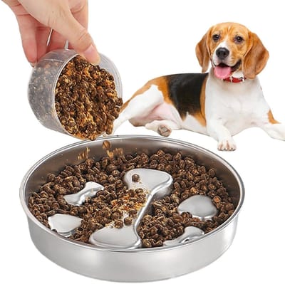 Anti-Schrokbak Hond - Langzame Voerbak - Gezond Eten - Omkeerbaar Dubbelzijdig - 22x22x4 cm - Zilver