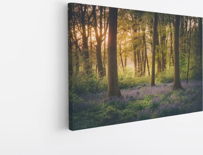 Saammp Canvas Schilderij - Bos met lavendel - Landschap - Natuur - 45x30 - Foto op canvas - Wanddecoratie - Muurdecoratie Woonkamer - Slaapkamer decoratie - Canvas Print