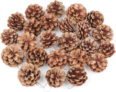 Dennenappels decoratie - Natuurlijke kegels - Kerstboom versieren - Met zilveren lus - 24 stuks - Bruin