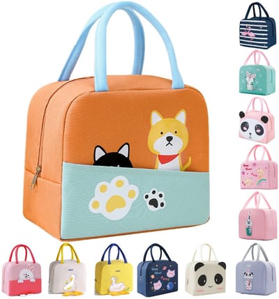 Dailygoods- Lunchtas Geïsoleerd - Opvouwbare Koeltas - Waterdicht - 5,5 Liter Capaciteit - Duurzaam Materiaal - Geschikt voor School/Picknick - Lunchbox