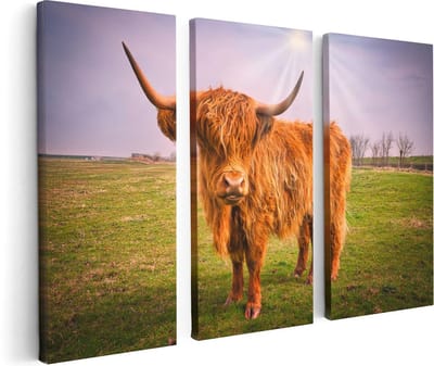 Artaza Canvas Schilderij Drieluik Bruine Schotse Hooglander Koe - Kleur - 120x80 - Foto Op Canvas - Canvas Print