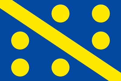 Vlag Assesse 200x300cm