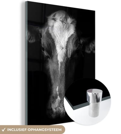 MuchoWow® Glasschilderij 120x160 cm - Schilderij acrylglas - Koe - Dieren - Zwart - Foto op glas - Schilderijen