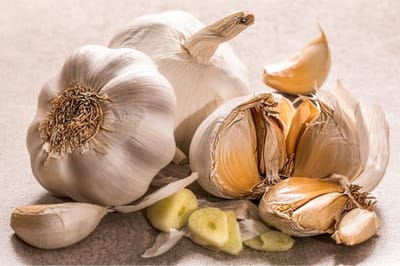 Plantknoflook Najaar – 3 Bollen Knoflook – Allium sativum – Pootknoflook – Knoflook Poten in de Moestuin
