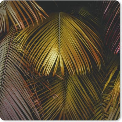 Muismat 20x20 cm - Mousepad Jungle - Palmboom - Goud - Muismatten