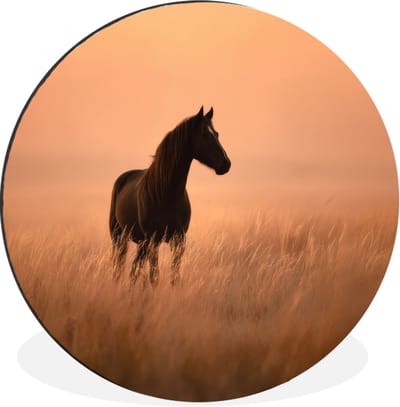 WallCircle - Wandcirkel - Muurcirkel - Paard - Grasveld - Zonsondergang - Aluminium - Dibond - 30x30 cm - Binnen en Buiten