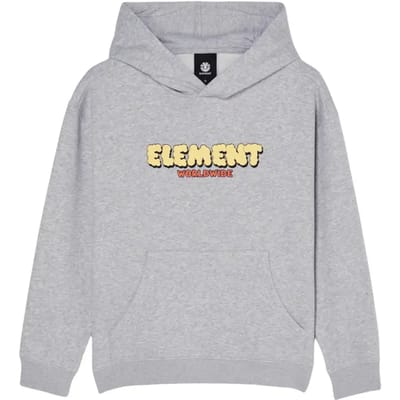 Element Fluff Hoodie Grijs 12 Years Jongen