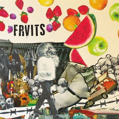 Frvits - Stupid Era (7" Single)
