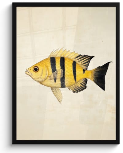 Poster in lijst - Fotolijst 60x80 cm - Posters - Geel - Vis - Strepen - Tropisch - Posterlijst zwart - Decoratie - Wanddecoratie woonkamer - Muurdecoratie slaapkamer